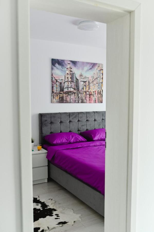 Artec Apartment Sibiu Esterno foto